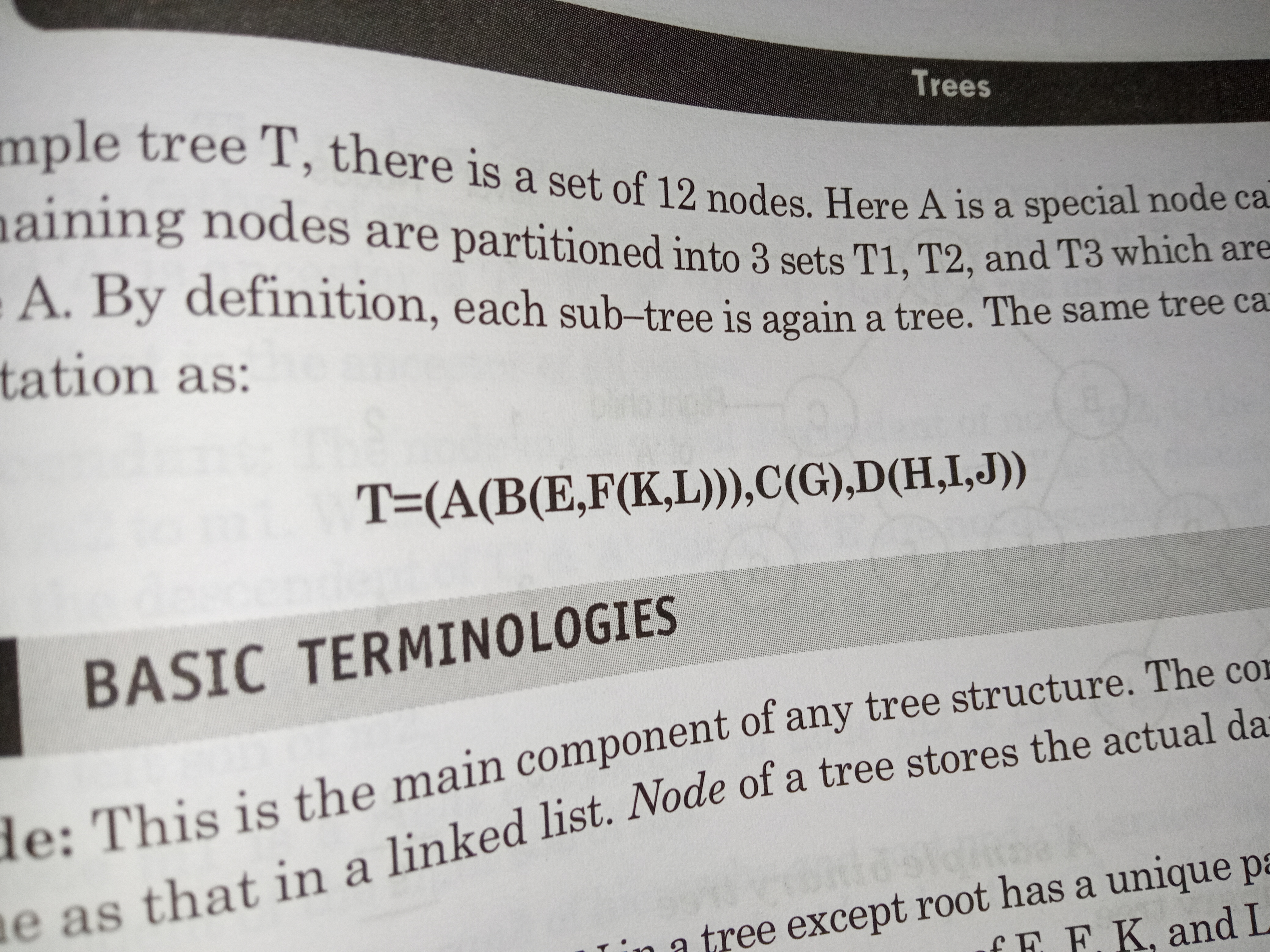 tree notation