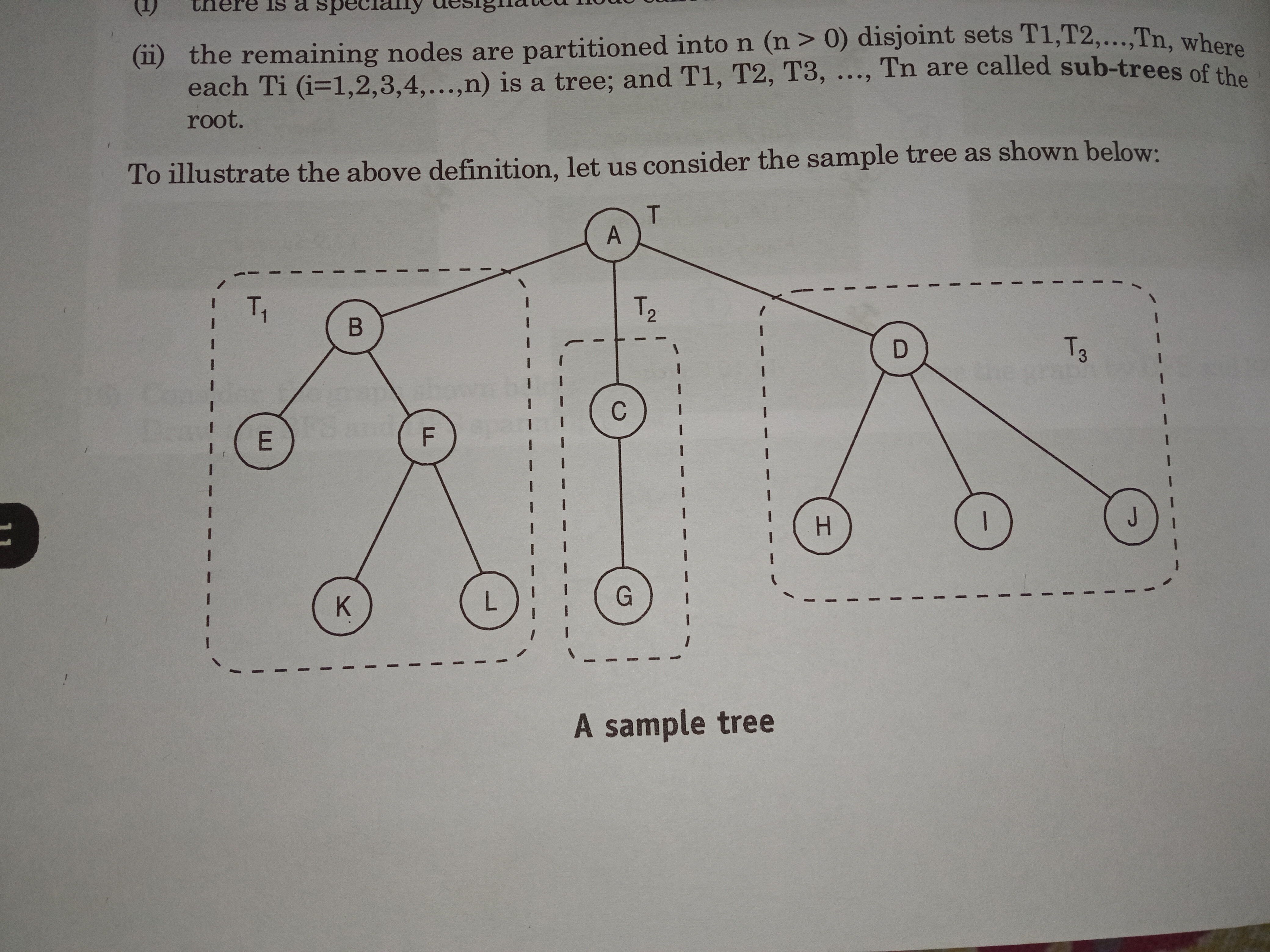 tree representation diagramatically